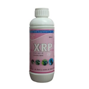XRP 500ml