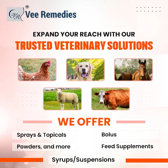 Veterinary banner