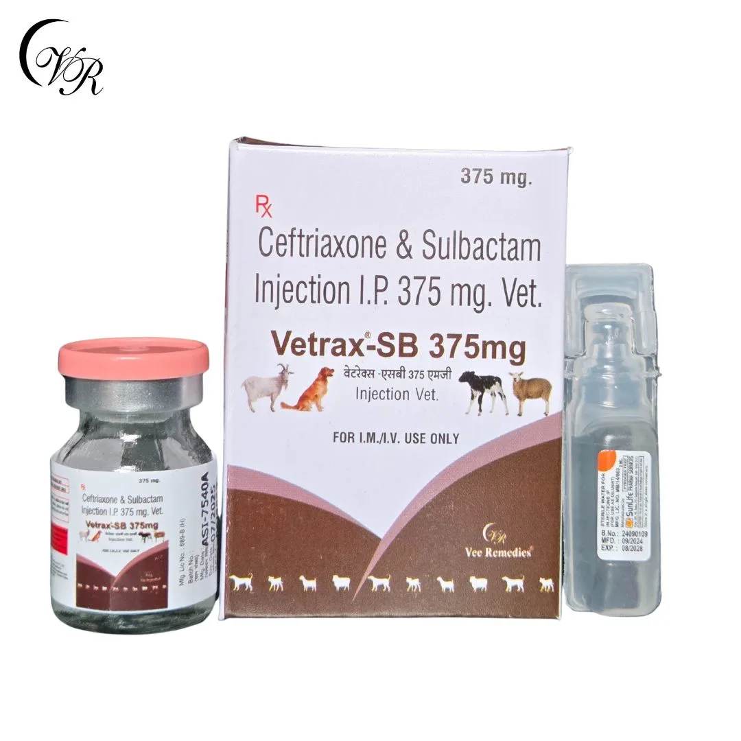 Ceftriaxone and Sulbactam Injection I.P. 375mg