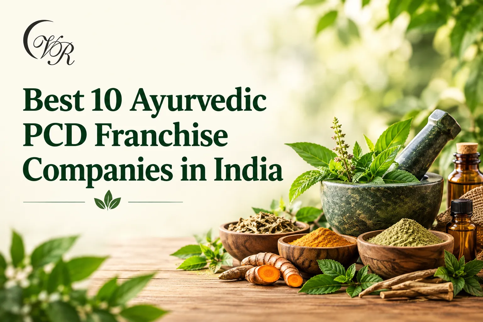 Best 10 Ayurvedic PCD Franchise Companies in India